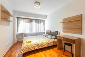 Appartment Profsoiusnaya, Moscow